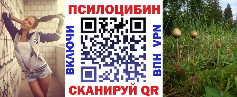 Купить где  Липки  Псилоцибиновые грибы Magic Shrooms 
